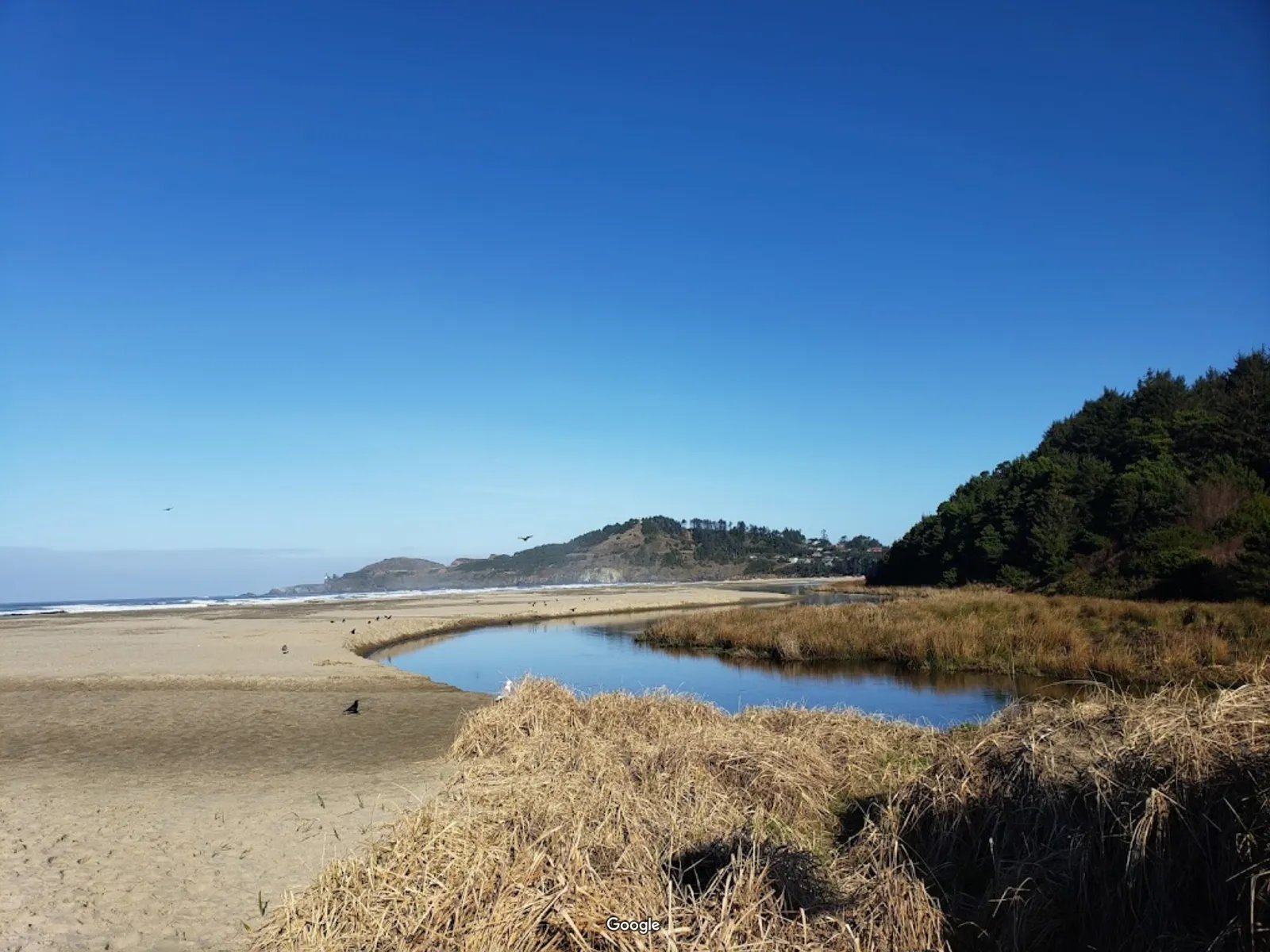 Agate Beach State Recreation Site