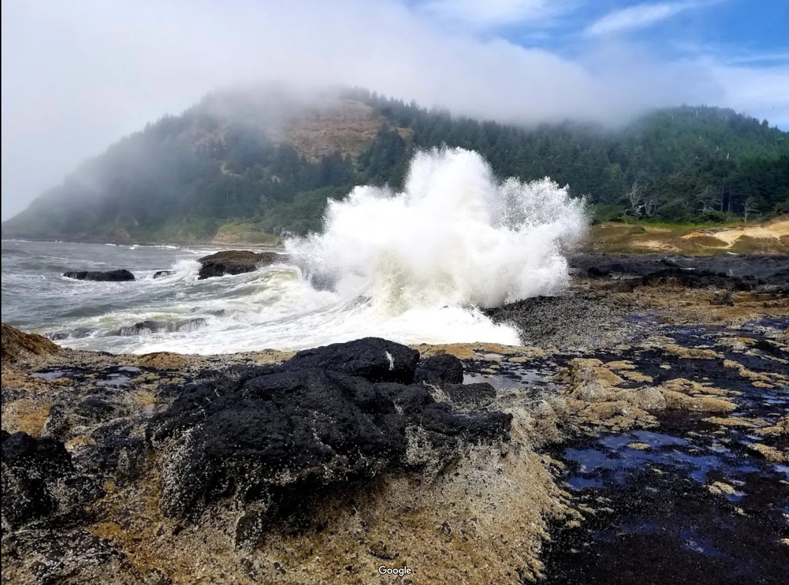 Cape Perpetua Scenic Area photo 10