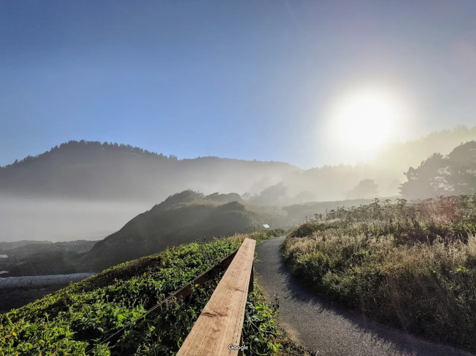 Cape Perpetua Scenic Area photo 11