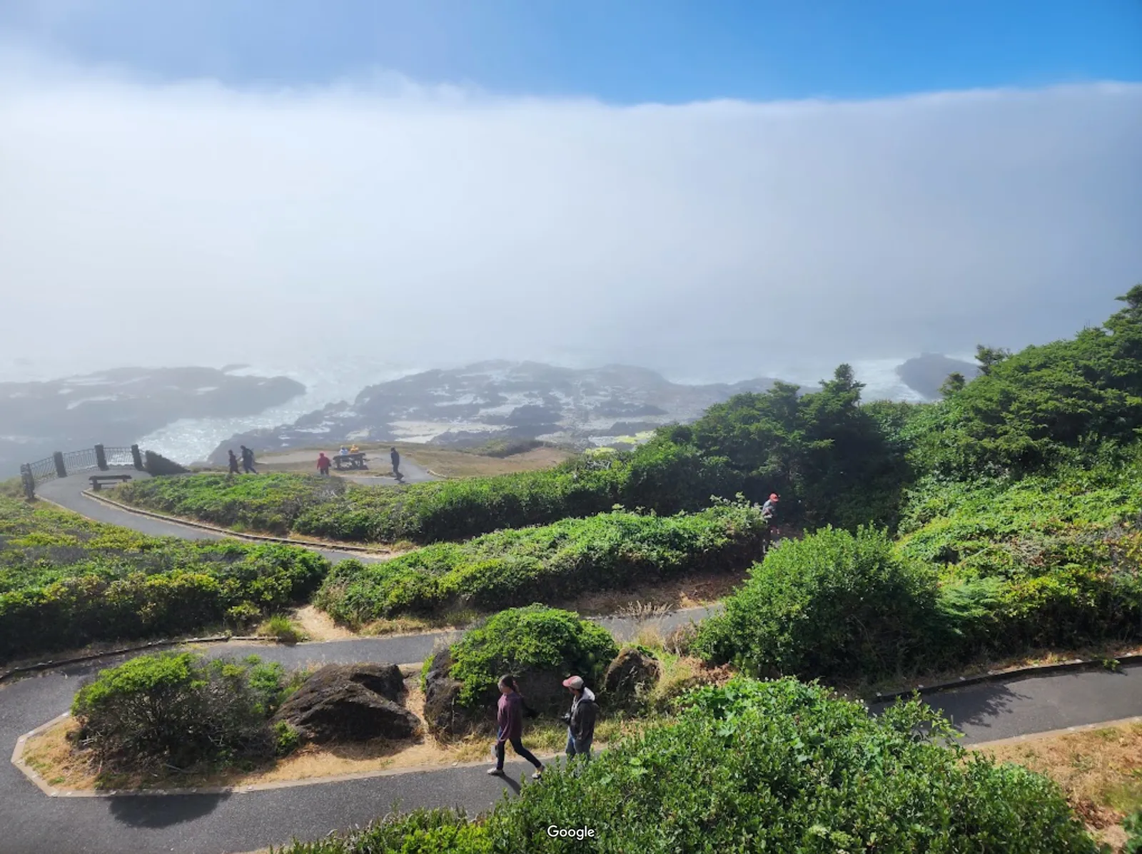 Cape Perpetua Scenic Area photo 12