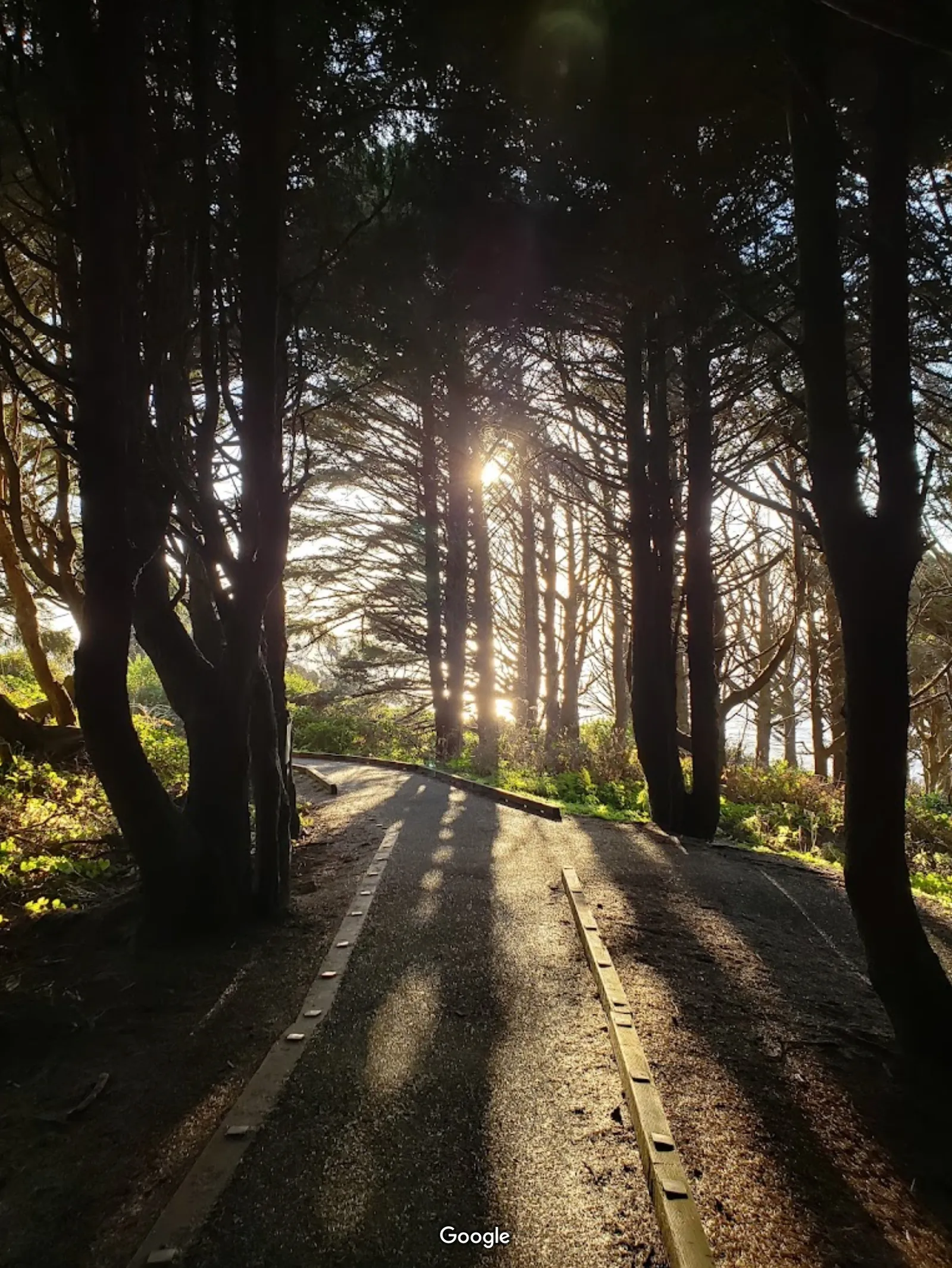 Cape Perpetua Scenic Area photo 2