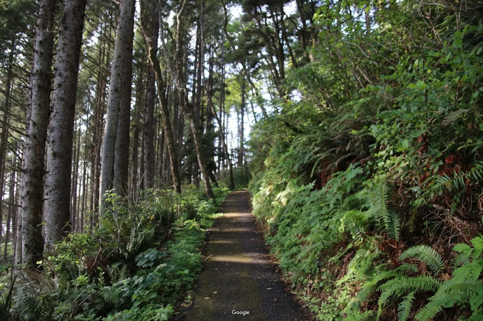 Cape Perpetua Scenic Area photo 3