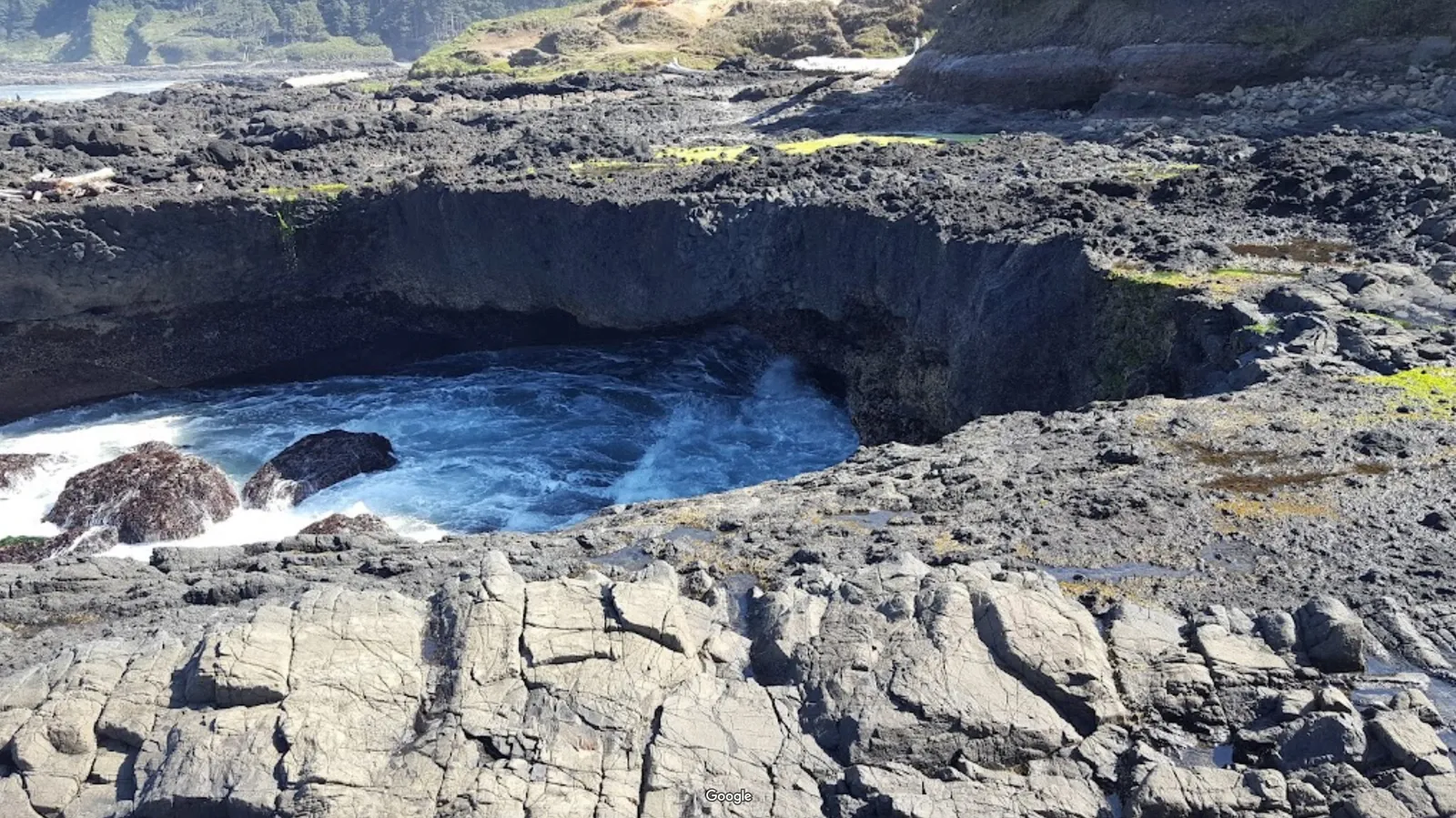 Cape Perpetua Scenic Area photo 4