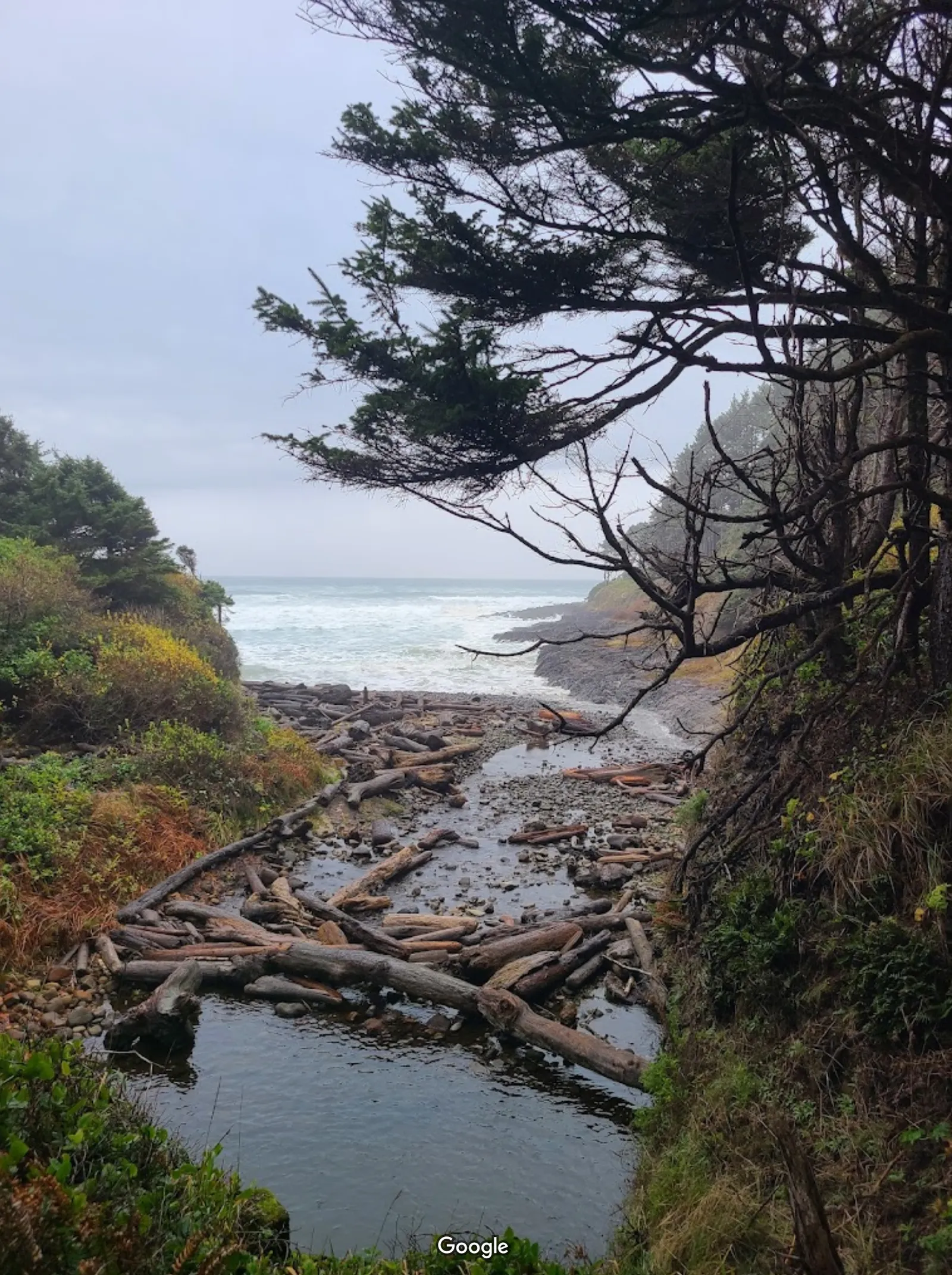 Cape Perpetua Scenic Area photo 5