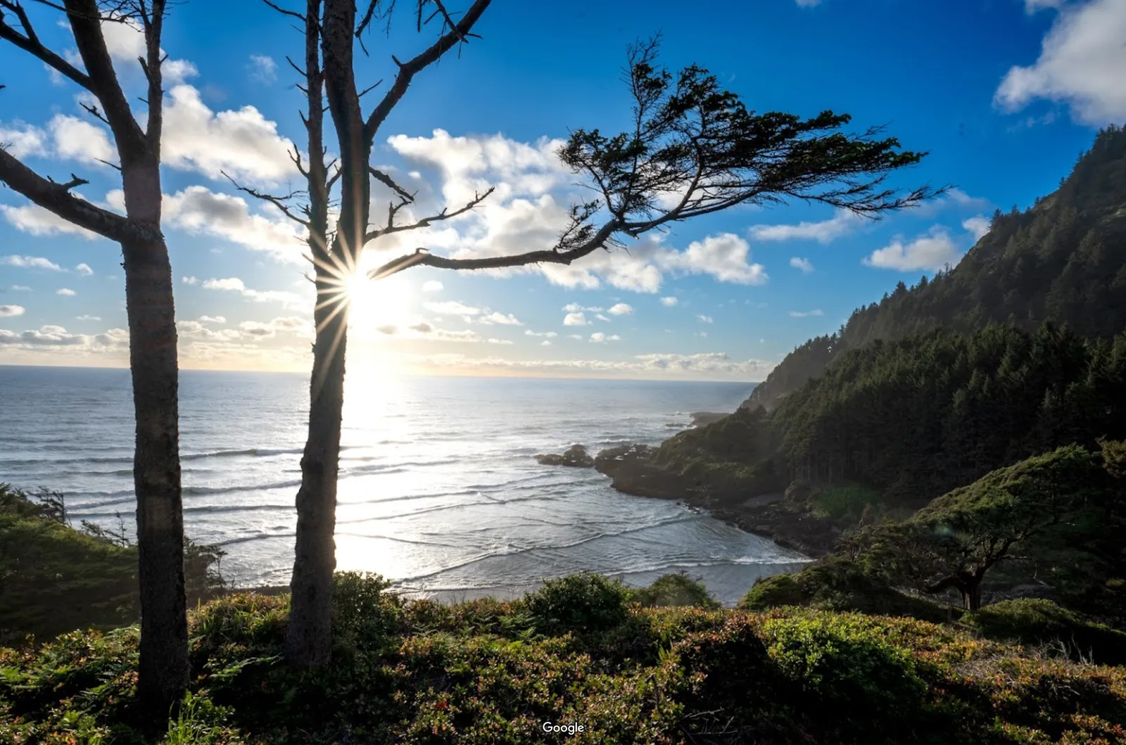 Cape Perpetua Scenic Area photo 8