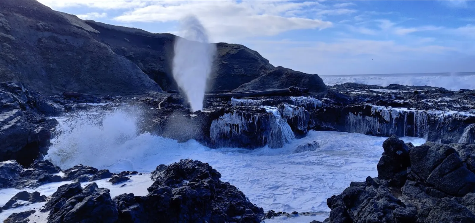 Cape Perpetua Scenic Area photo 9