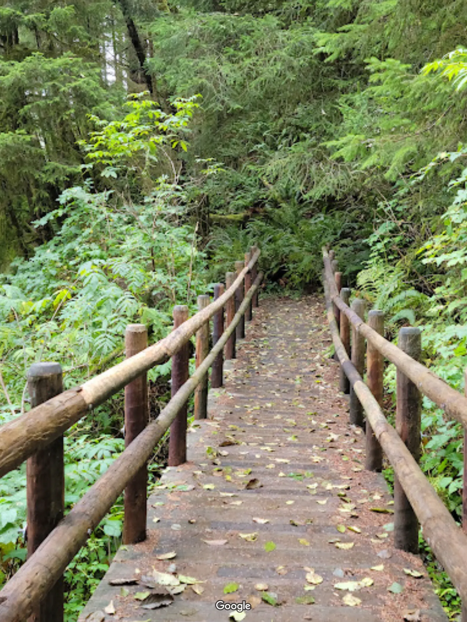 Cape Perpetua Visitor Center photo 6