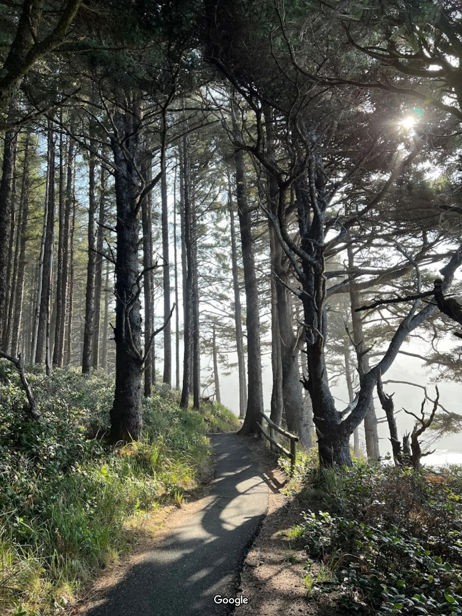 Cape Perpetua Visitor Center photo 9