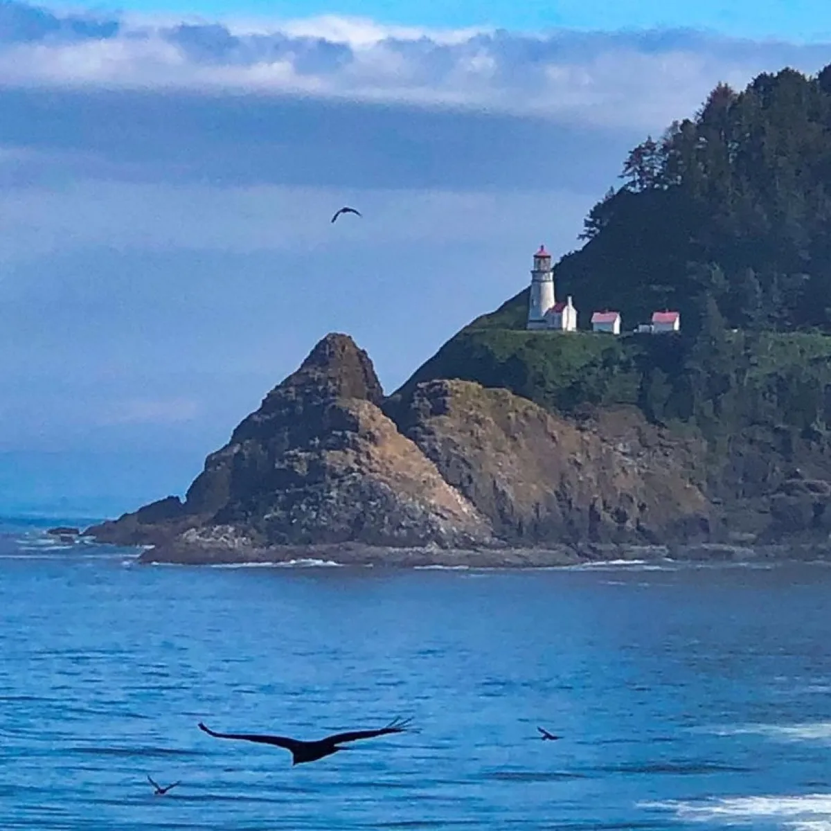 Heceta Head Lighthouse photo 4