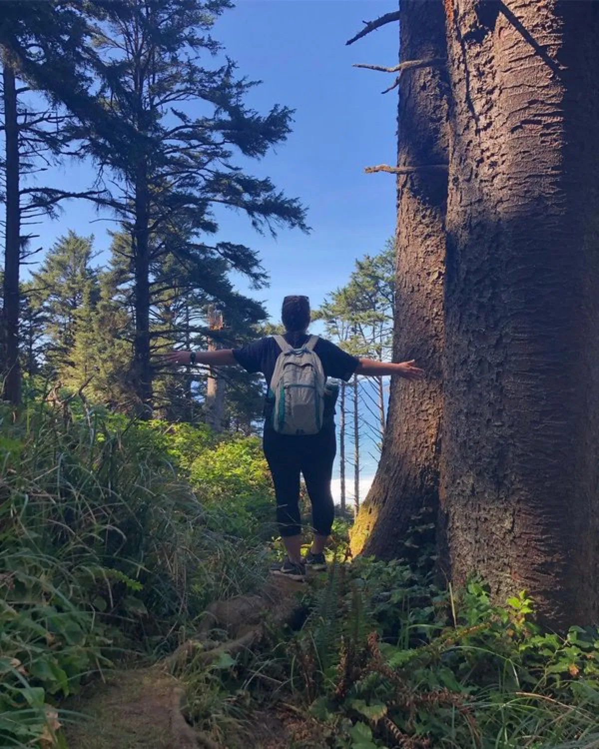 Heceta Head Lighthouse photo 5