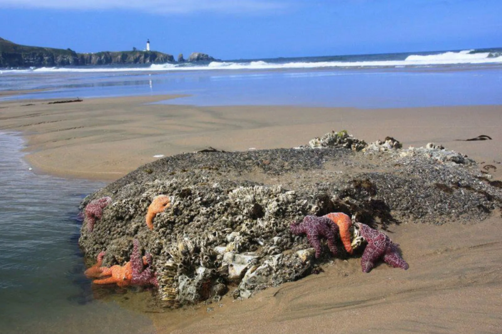 Moolack Beach photo 3