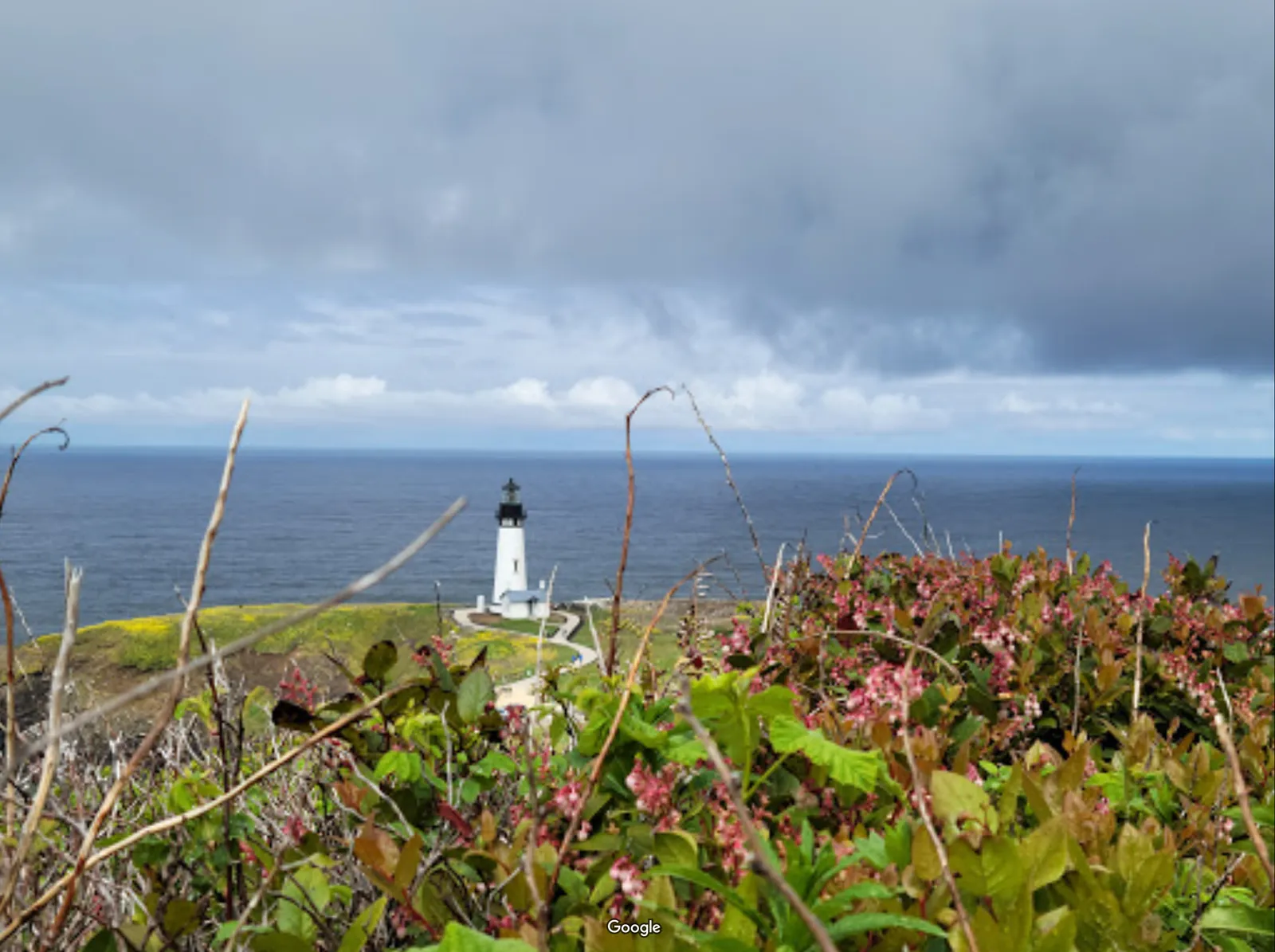 Yaquina Head Lighthouse photo 11