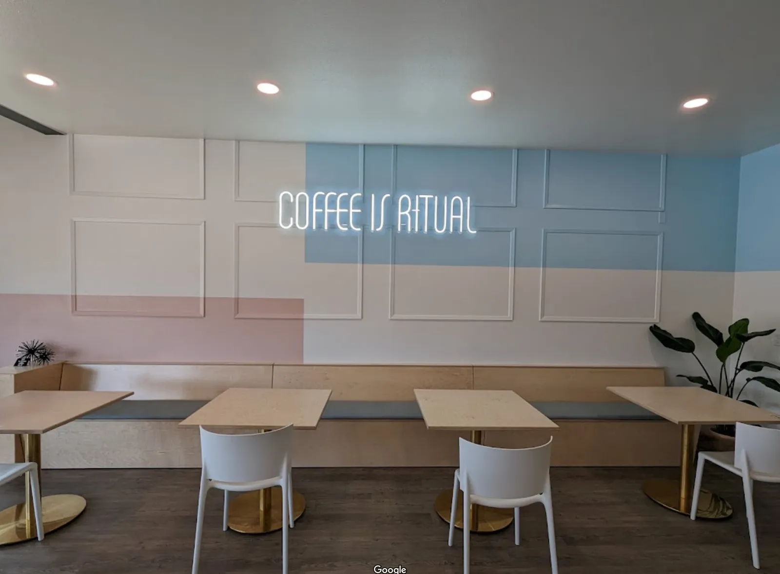 White Rabbit Espresso photo 7
