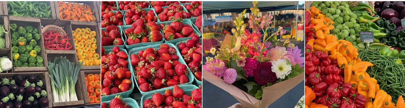 Newport Farmer's Market photo 10