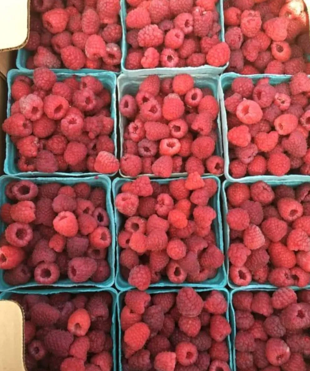 Newport Farmer's Market photo 4